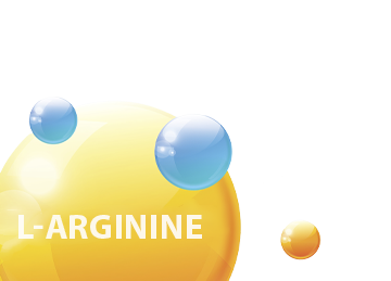 L-Arginin Aminosäure für die Durchblutung