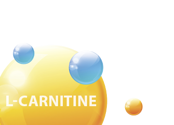 L-Carnitin für den Energiestoffwechsel des Herzens